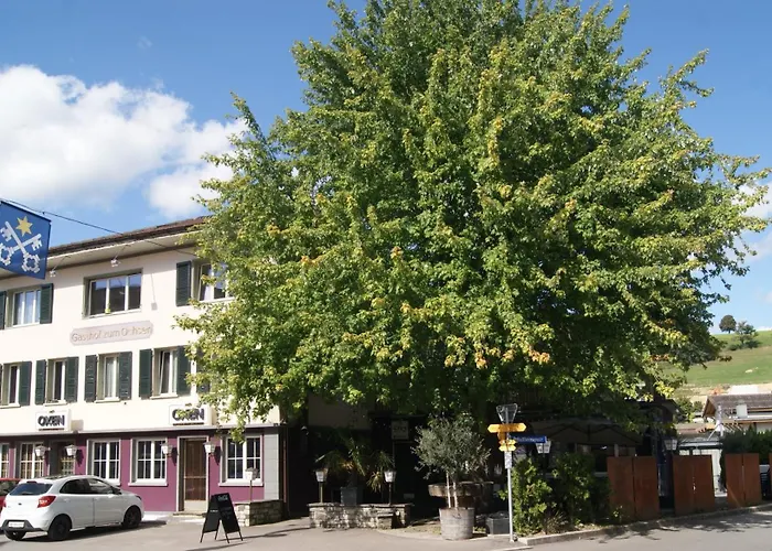 Ochsen Πανσιόν Huttwil